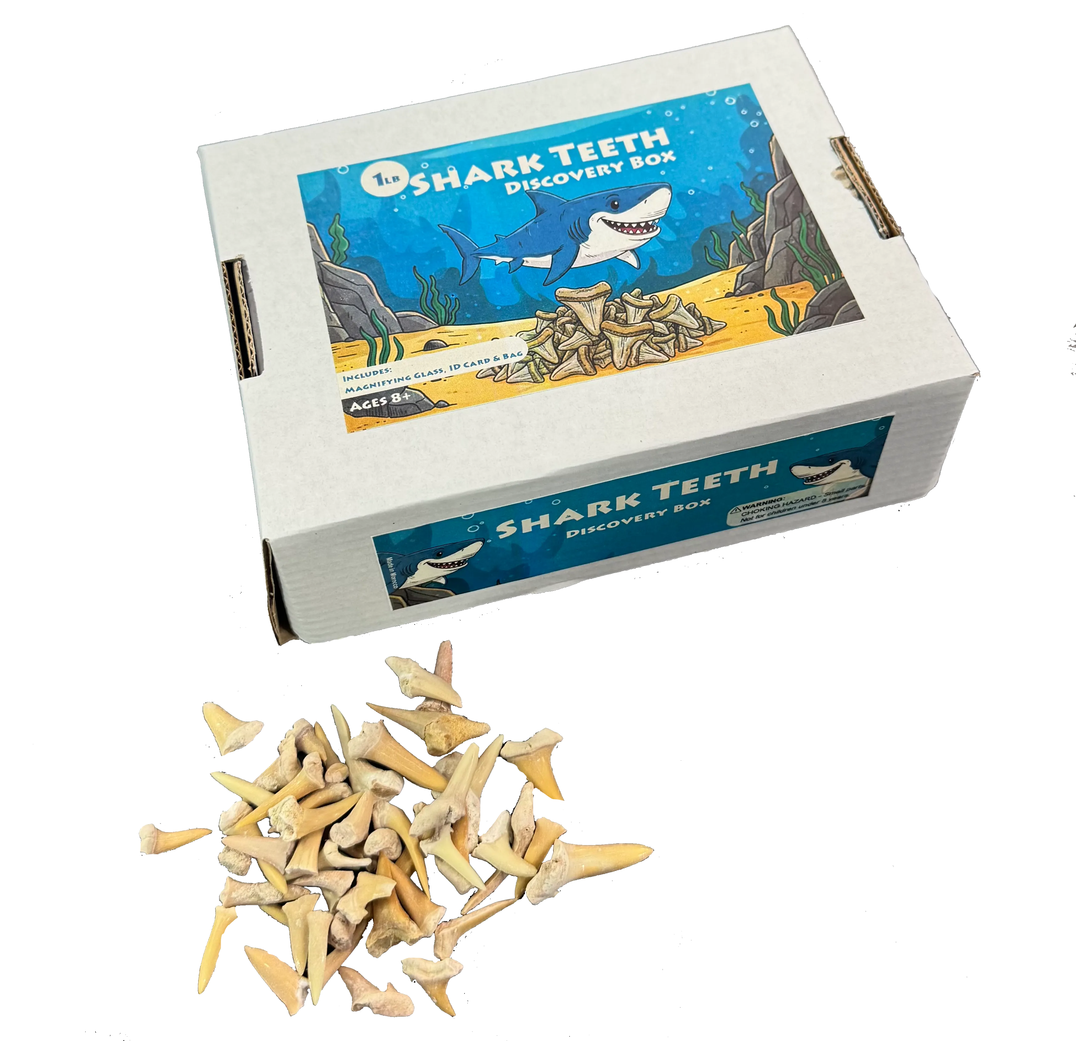 Ready to retail fossil products