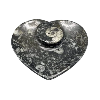 1PC – AMMONITE HEART FOSSIL DISH