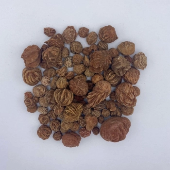 1KG – DESERT ROSE