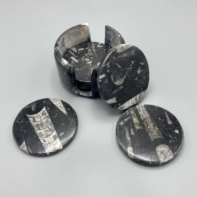 1PC – FOSSIL ORTHOCERAS COASTERS